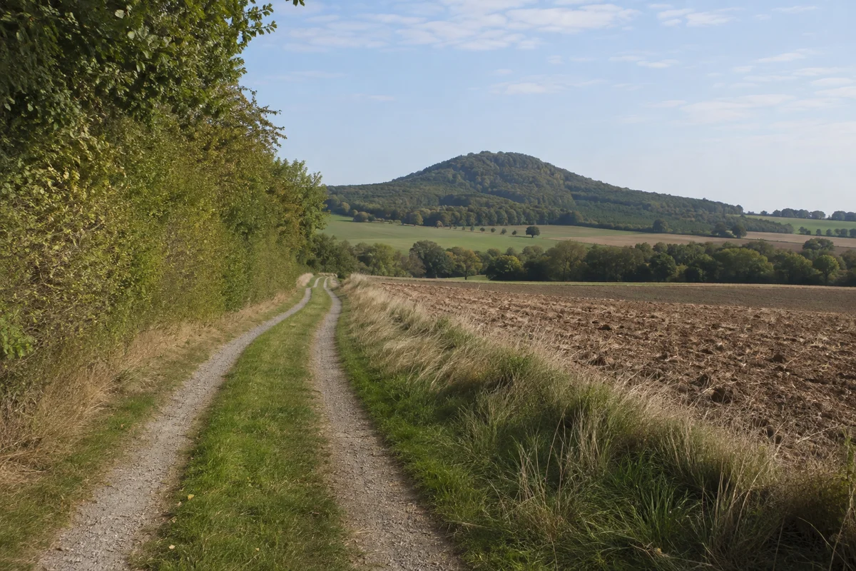 Oberelsungen: Feldweg zwischen offenen Äckern und Hecken mit niedrigem Bärenberg im Hintergrund