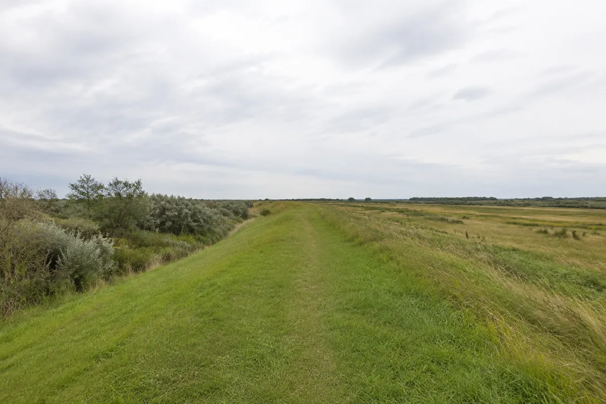 Grüner Deichweg westlich Zingst zwischen Wiesen unter weitem Himmel