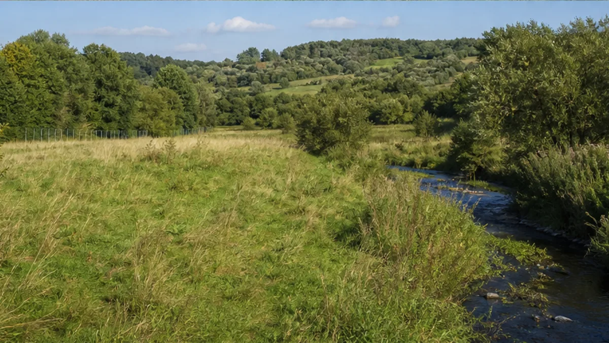 Hügeliger Wiesenweg bei Bürvenich