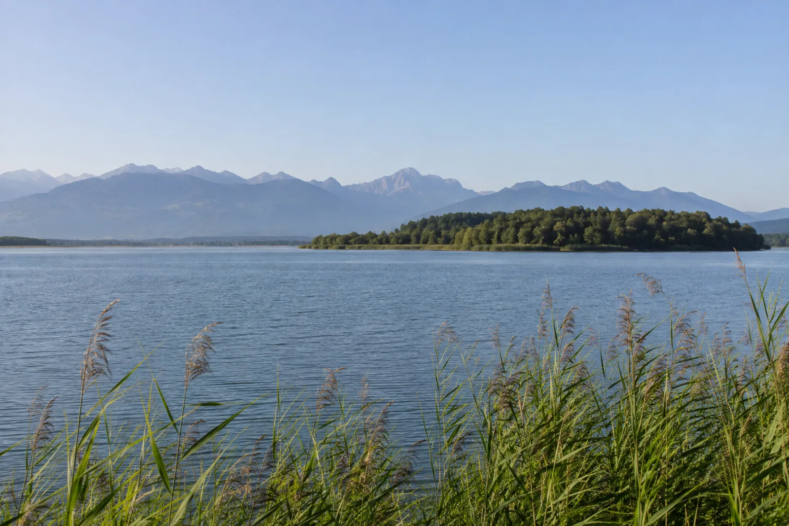 Blaues Land: Staffelsee mit Schilfufer und Alpenkette am Horizont