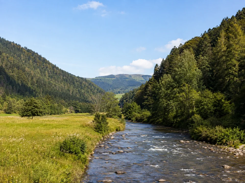 Elztal bei Waldkirch: Breiter grüner Talraum mit Fluss und bewaldeten runden Hängen am südwestlichen Schwarzwaldrand