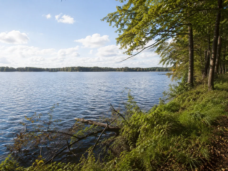 Dreibergener Seeblick: Uferblick vom sehr niedrigen bewaldeten Nordufer über den weiten Binnensee, alte Laubbäume und kleine grüne Uferböschung, keine Berge